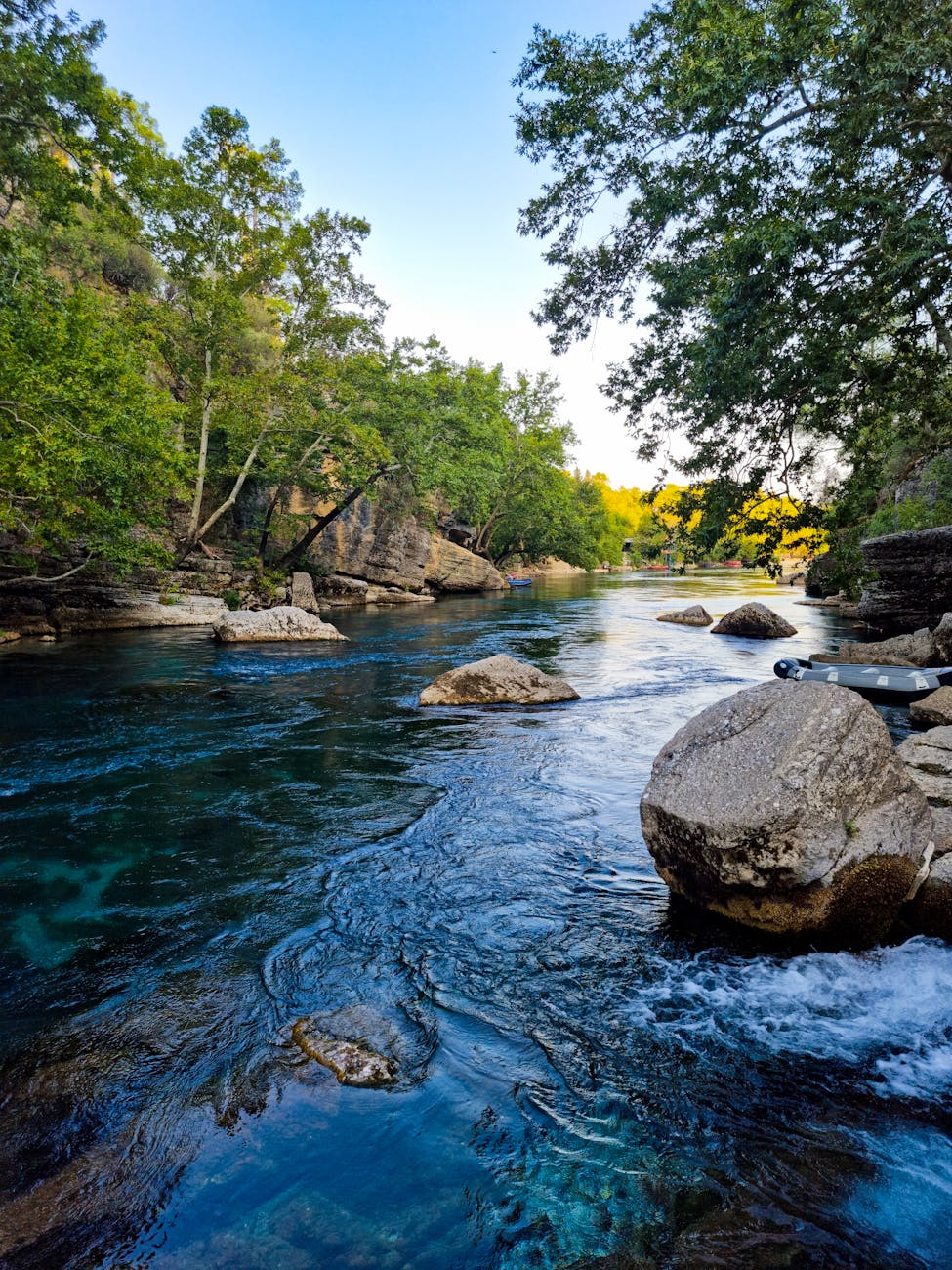scenic view of flowing river on a forest